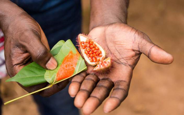 Join a spice tour to a plantation around Kizimbani