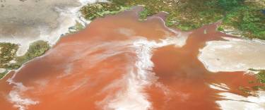 Aerial view of the soda lake
