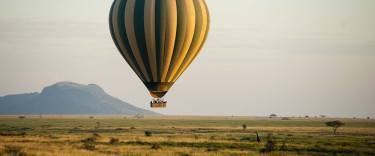 Hot-air balloon flying past a giraffe