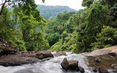 Waterfall in the forest