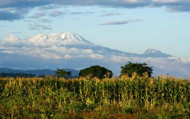 Mount Kilimajaro seen from Arusha