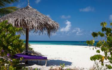 Thumbnail of Sunbed on the beach