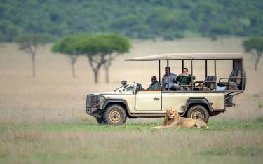 People on safari looking at a lion