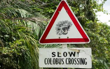 Road sign in the forest