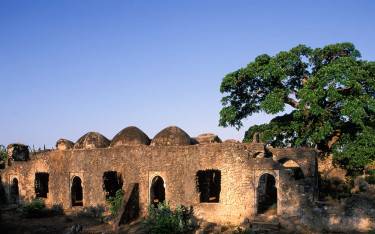 Kilwa Ruins, Great Mosque interior, built in the 14th century