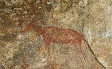 Detail of a rock art panel