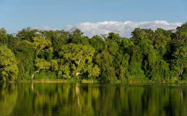 Lake view