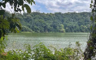Lake view