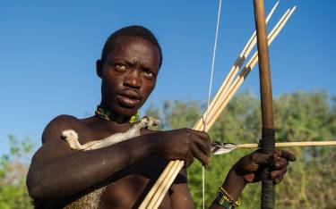 Hadzabe bushman hunting with bow and arrow