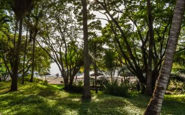 Lush gardens