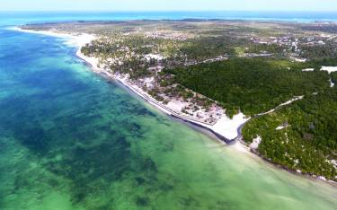 Thumbnail of Long sandy beach