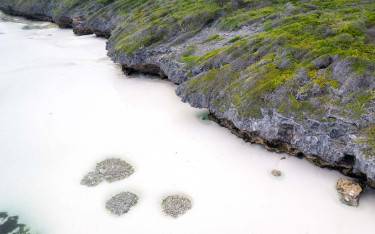 Thumbnail of Seascape at low tide