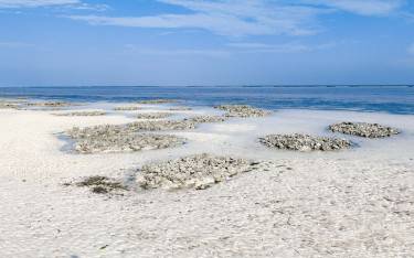 Beach at low tide