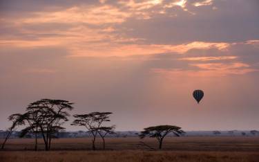 Thumbnail of Hot-air balloon safari at dawn