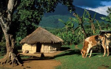 Traditional homestead