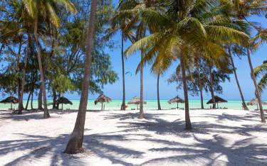 Palm-lined beach in Paje