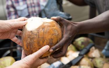 Coconut for drinking