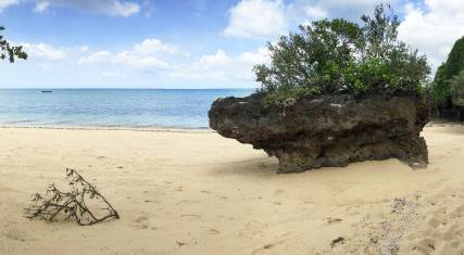 Rocky outcrops on the beach