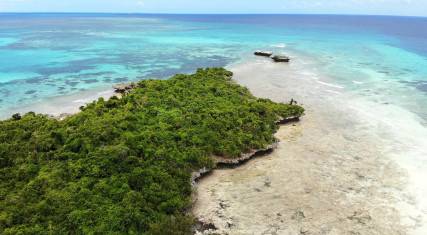 Aerial view of the forested island