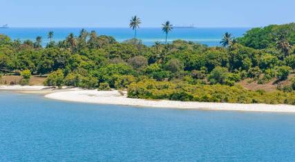 Idyllic beach scene