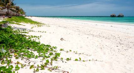 White sandy beach