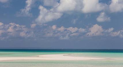 Sandbank at low tide
