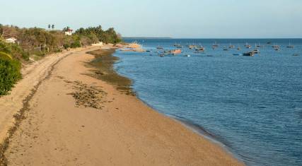 Fishing boats