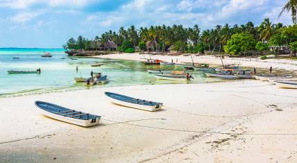 Boats on the beach