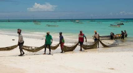 Fishermen pulling nets to shore