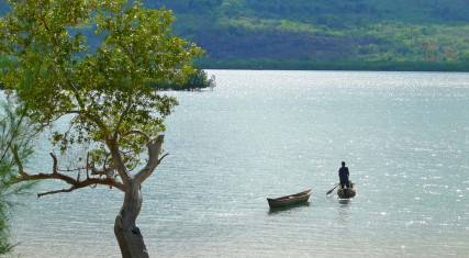 Dugout canoes on the water