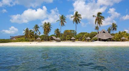 Palm-lined sandy beach