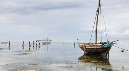 Dhows at low tide on Matemwe Beach in Zanzibar