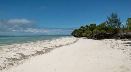 White sandy beach