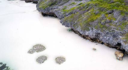Seascape at low tide