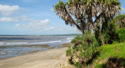 Sandy beach