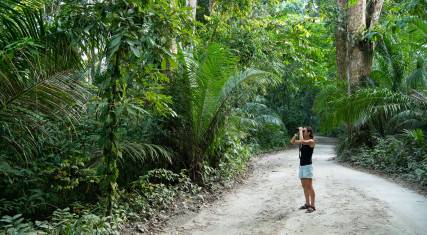 Bird watching in Ngezi Forest Reserve