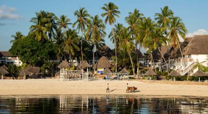 Palm-lined beach