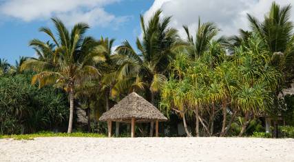 Tropical beach scene
