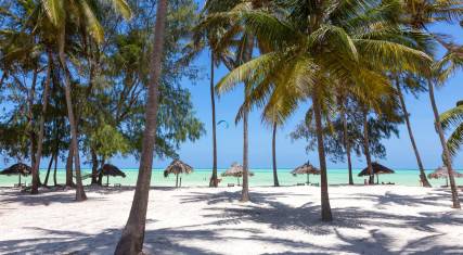 Thumbnail of Palm-lined beach in Paje