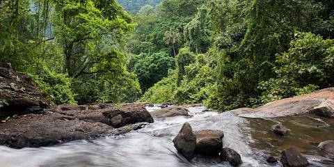 3-Day Tarangire, Ngorongoro & Hot Springs Safari