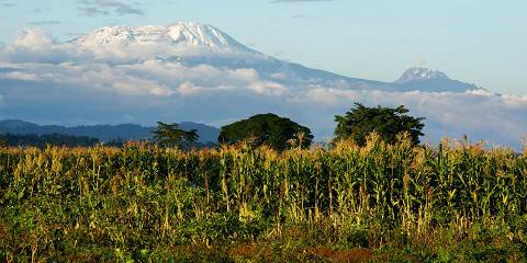 7-Day The Classic Kilimanjaro Trek via Marangu Route