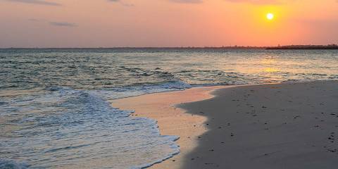 11-Day Perfect Honeymoon Safari and Beach Paradise