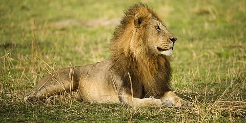 6-Day Tanzania Mid Range Safari