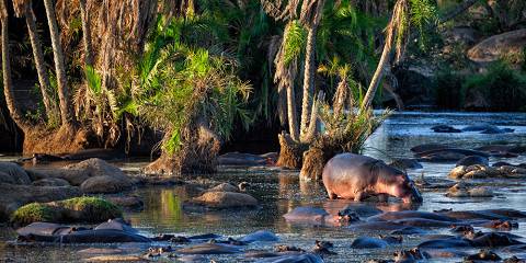 6-Day Budget Safari & Materuni Waterfall Tour