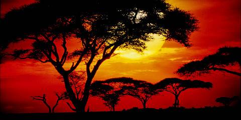 3-Day Fly in Safari from Arusha