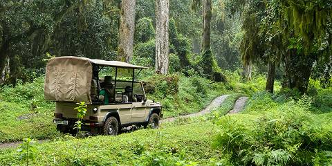 2-Day Fly & Ferry Safari from Zanzibar to Mikumi Park
