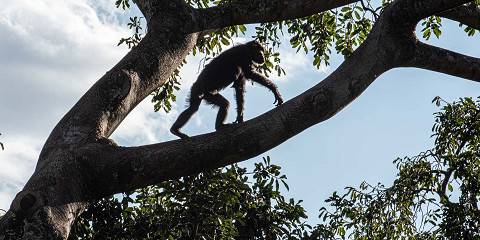 Budget Safari (Lake Manyara and Ngorongoro Crater)