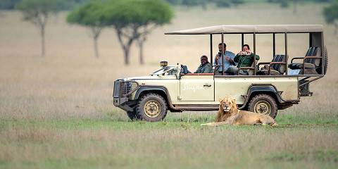5-Day North Serengeti Great Migration & Crater Adventure