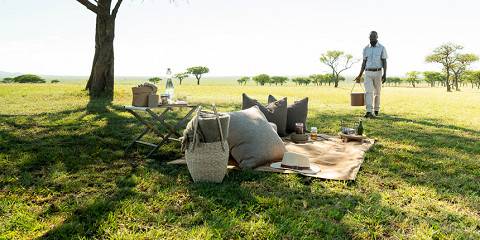 5-Day Serengeti & Ngorongoro Crater Camping Safari