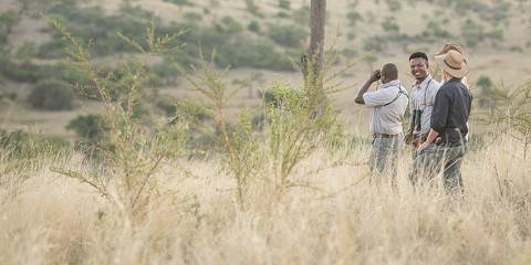 6-Day A Premium Safari Experience in a Magical Land